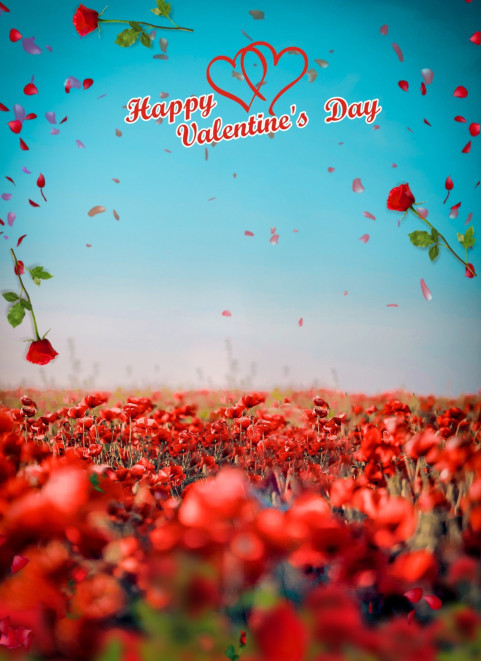 14 Febuay Valentines Day CB Photo Editing Background