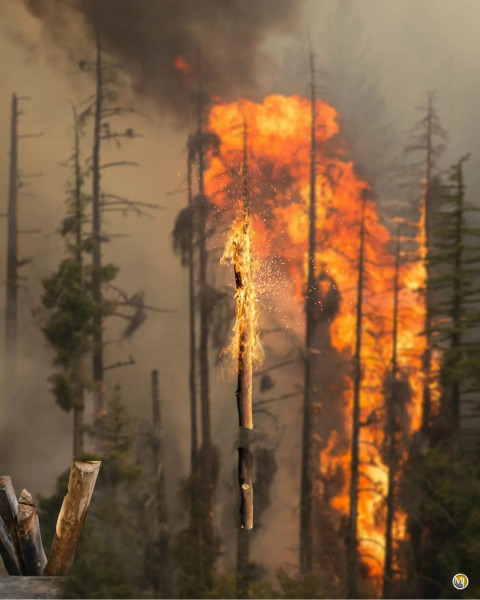 Action Fire Move Poster Photo Editing HD Background