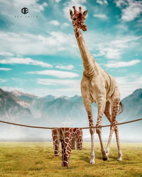 Animal Picsart Background HD For Photo Editing