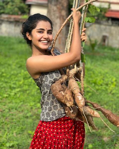 Anupama Parameswaran Latest Hot Full HD Mobile Wallpapers