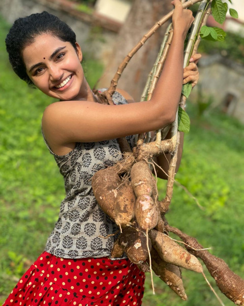 Anupama Parameswaran Latest Hot HD Dp Mobile Wallpapers