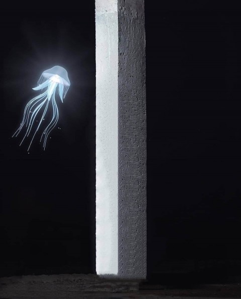 Atharv Raut Background For Picsart Editing