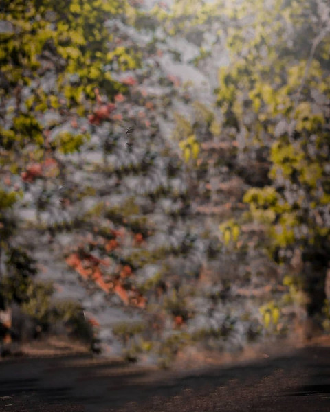 Atharv Raut Background HD For Snapseed Editing