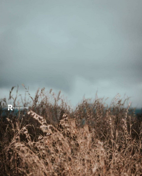 Atharv Raut Snapseed Background For Photo Editing