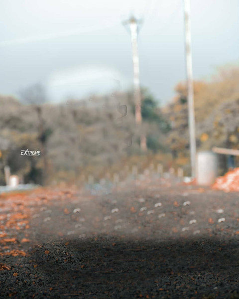 Atharv Raut Snapseed Background For Photo Editing