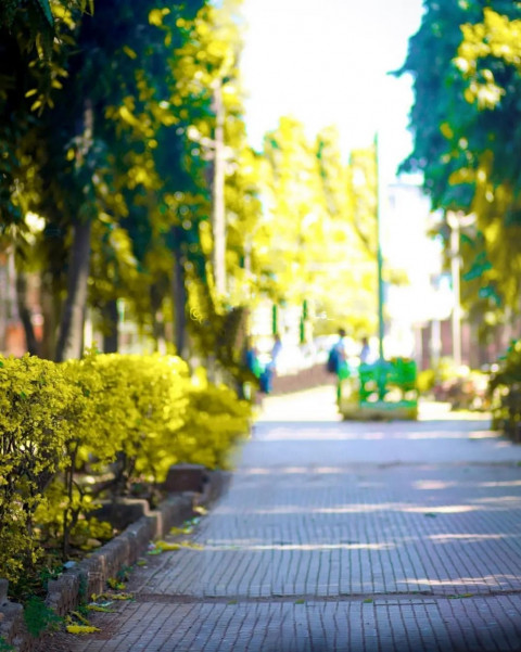 Autodesk Photo Editing Background Download HD