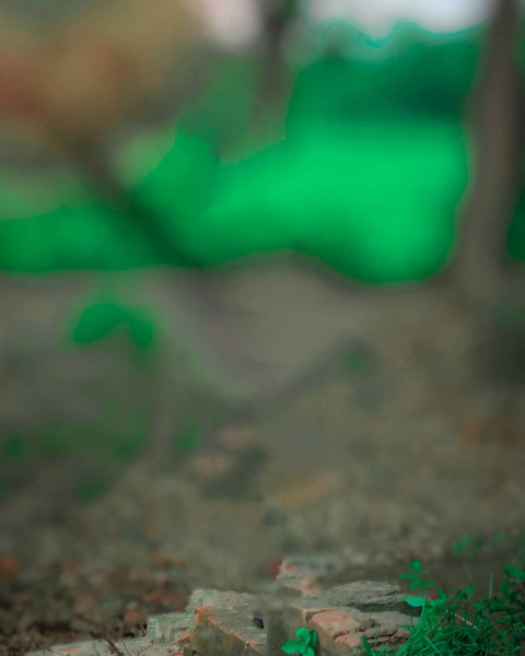 Autodesk Photo Editing CB Backgrounds Download