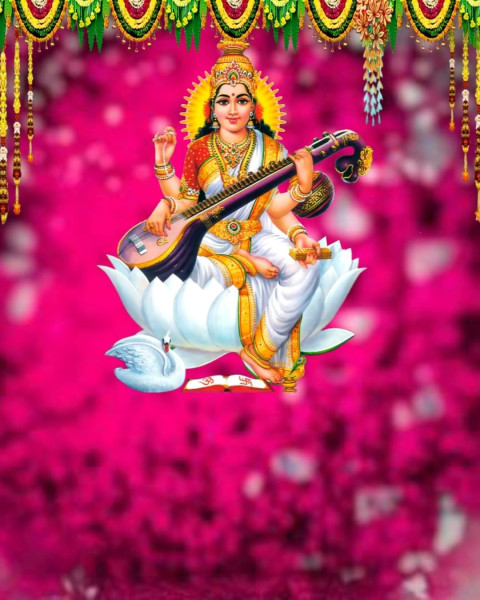 Basant Panchami Pink CB Background Full HD Free