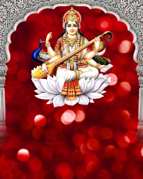 Basant Panchami Red CB Full HD Background Free Download