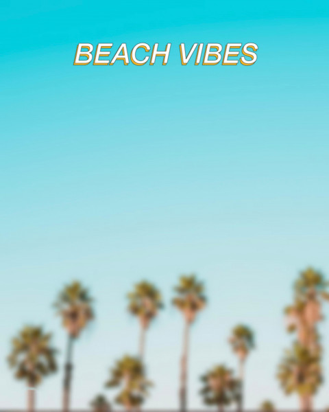 Beach Tree Picsart HD Background Download Free