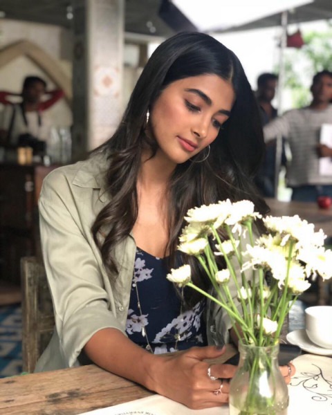 Beautiful Pooja Hegde Wallpaper Download Status Pictures WhatsApp