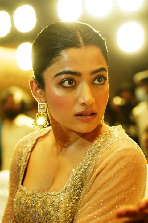 Beautiful Rashmika Mandanna Hot Photos Wallpapers HD