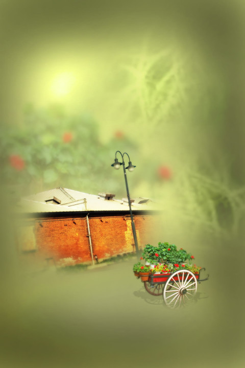 Best Backdrop Studio CB Background Download Pic