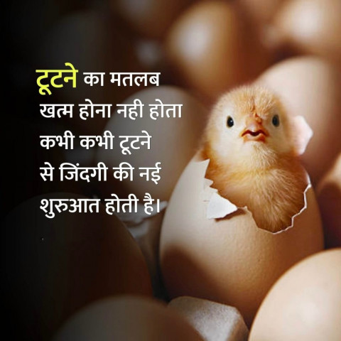Best Hindi Motivational Quotes Pictures WhatsApp  Full HD