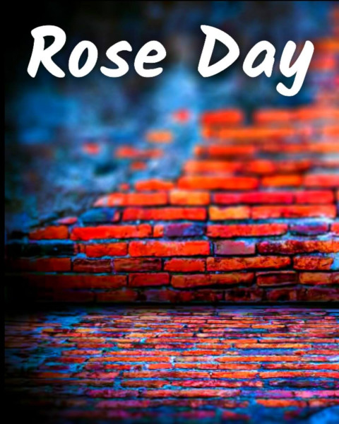 Best Rose Day Cb Editing Background For Photoshop & PicsArt