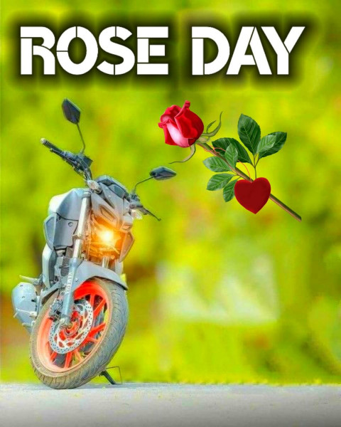 Best Rose Day Cb Editing Background For Photoshop & PicsArt