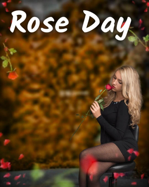 Best Rose Day Cb Editing Background For Photoshop & PicsArt HD