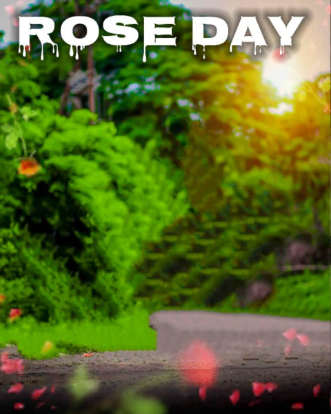 Best Rose Day Editing Background For Valentine's Day Picsart
