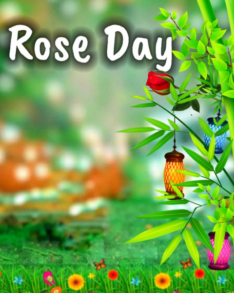 Best Rose Day Editing Background For Valentine's Day Picsart HD