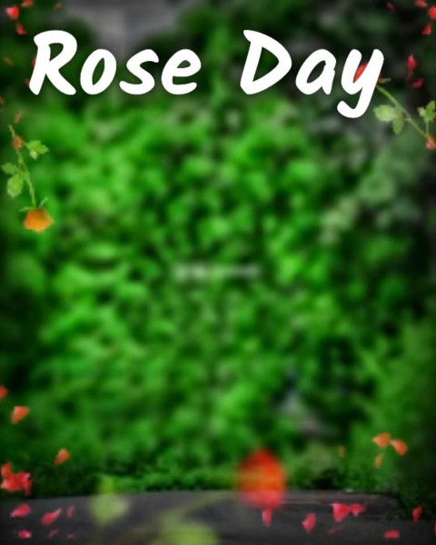 Best Rose Day Editing Background For Valentine's Day Picsart Pic