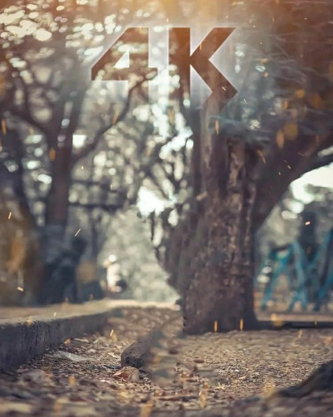 Best Sketchbook Editing CB Photo Backgrounds Pic