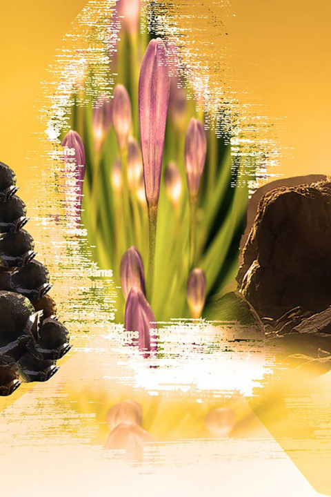 Best Studio Background Images Full HD