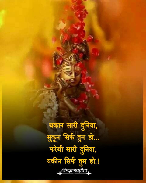 Bhagavad Gita Quotes In Hindi Images For WhatsApp  Ultra