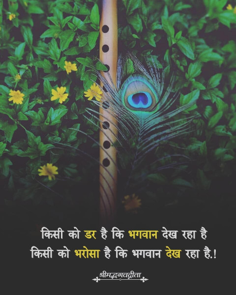 Bhagavat Gita Hindi Quotes Images For WhatsApp Dp Free