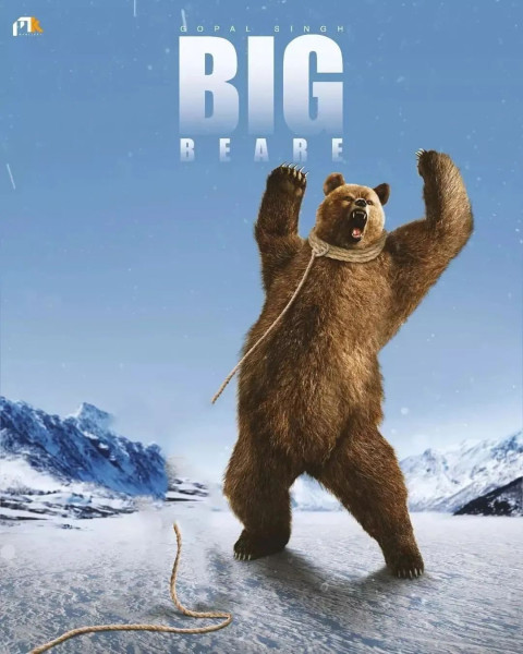 Big Bear Photo Editing Background New Download Full HD