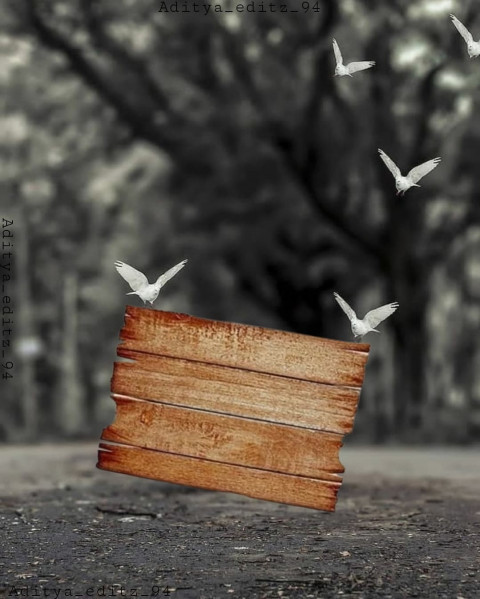 Bird Blur Cb Background Full HD Download