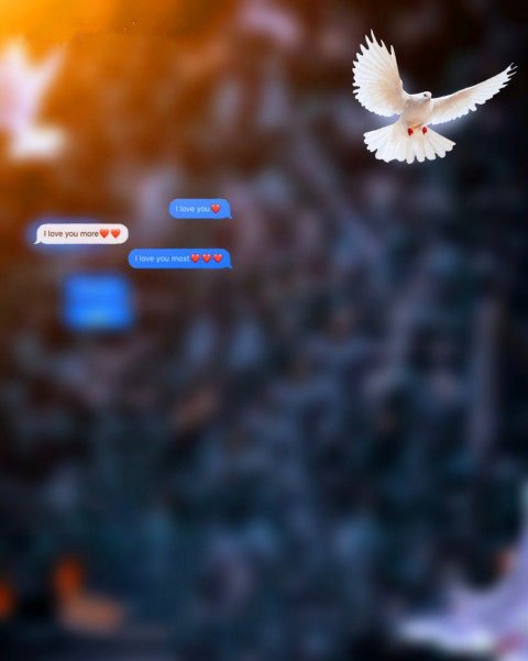 Bird CB PicsArt Photo Editing Background Download