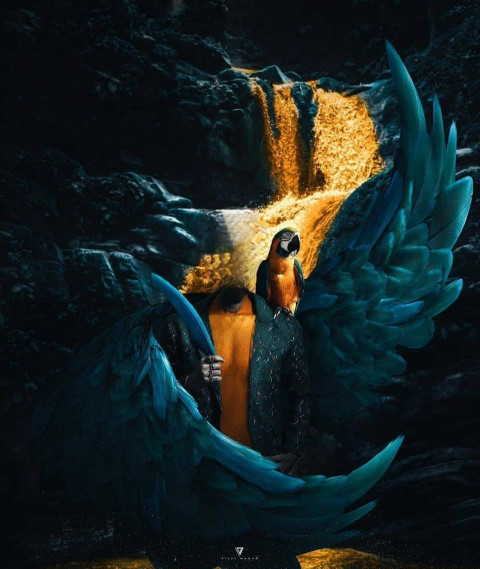 Bird PicsArt Background HD Download For Editing