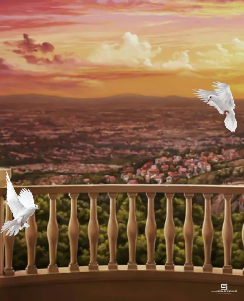 Bird With Sky Background For CB Picsart Photo Editing