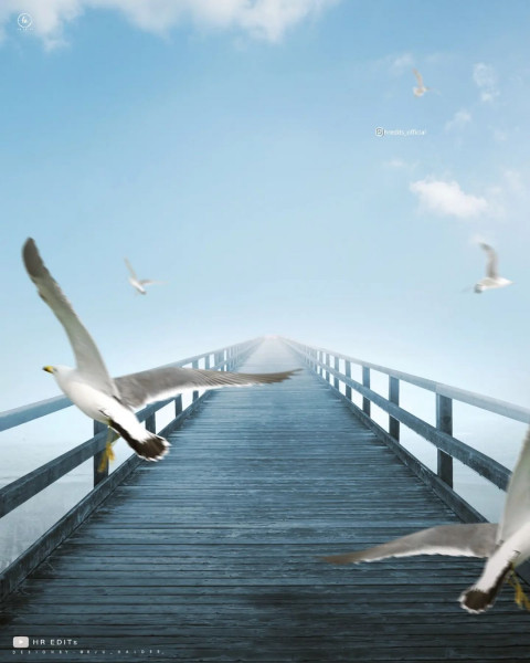 Birds CB Picsart Editing Background Download Full HD