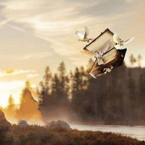 Birds Creative Photo Editing Background Free Download