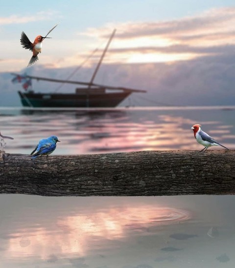 Birds Full Hd Autodesk Background Download