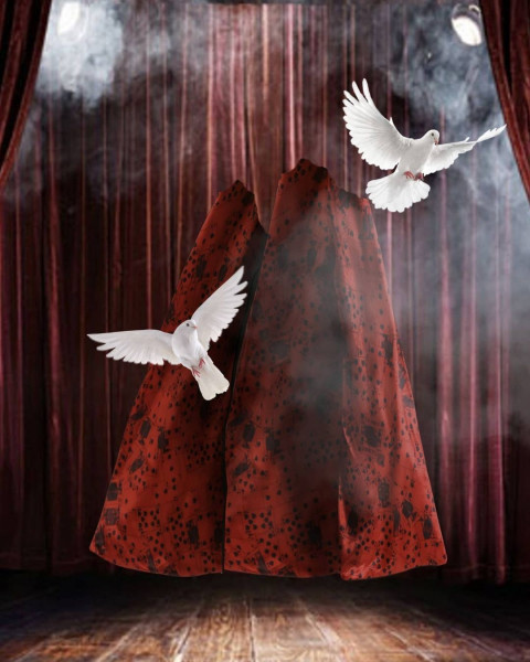 Birds Instagram Trending Background For Picsart & Photoshop
