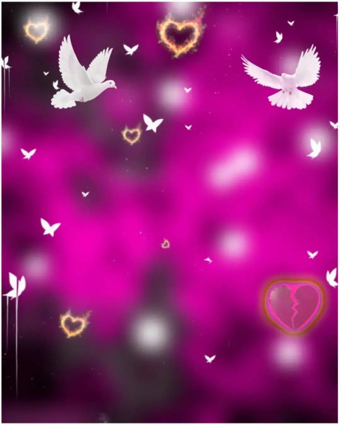 Birds Photoshop HD Background Download For CB Editing