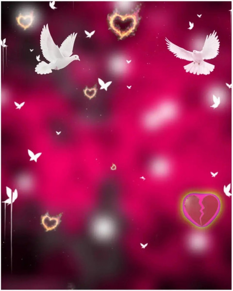 Birds PicsArt Background New Full HD Download For Editing