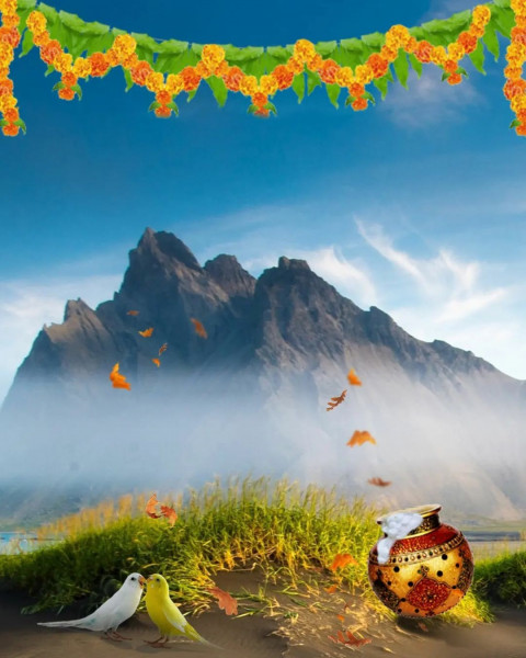 Birds PicsArt Editing New Background Download Full HD