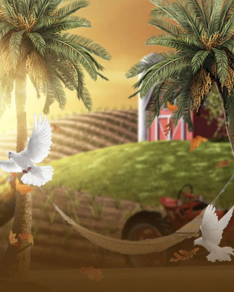 Birds Picsart Photo Editing CB Background Download