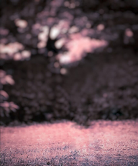 Black CB Photo Editing Background For Picsart HD 8