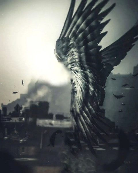 Black Wing Photoshop Background Download Full HD