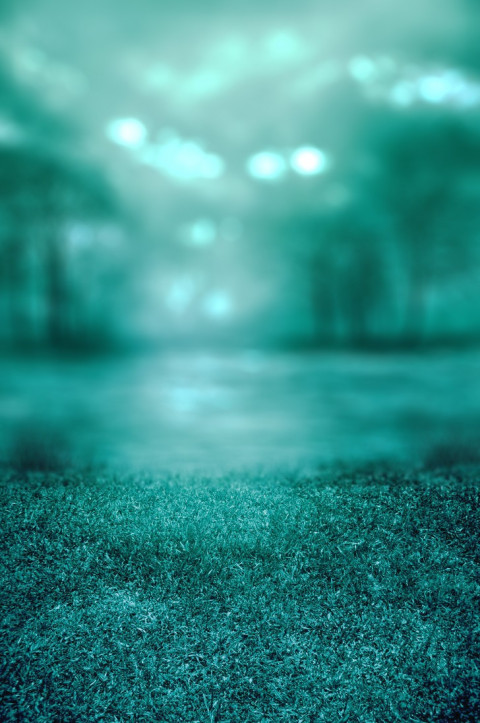 Blur Autumn Forest Tree CB Picsart Background HD Download New