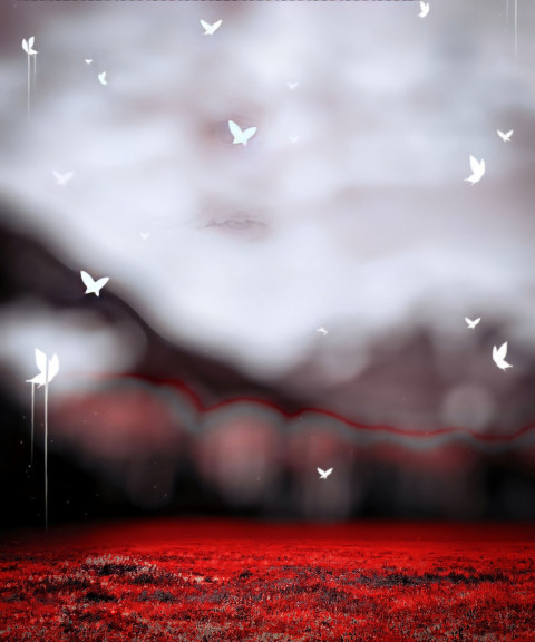 Blur Birds CB Photoshop Background Full HD Download Free