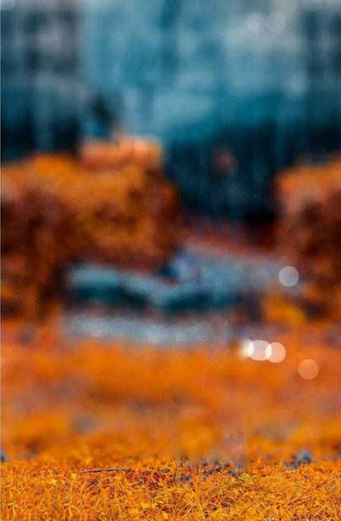 Blur CB Background For Photoshop Photo Editing