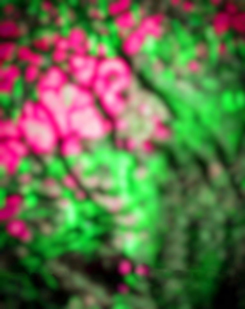 Blur CB Editing Background HD Free Download