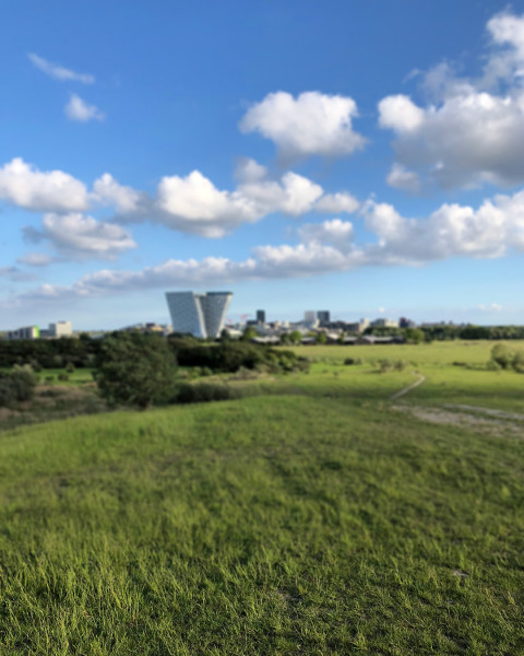 Blur Cb Nature Editing Background For Photoshop Pic