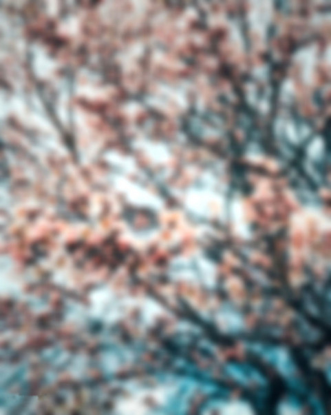 Blur Forest Picsart CB Editing HD Background New