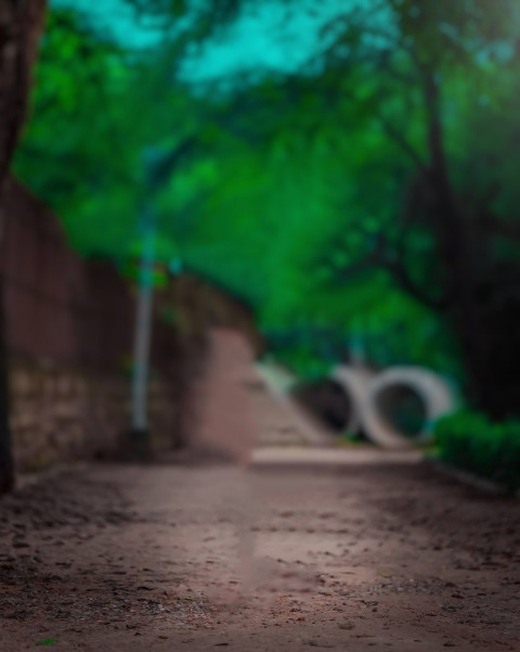 Blur Forest Taukeer Editz Background Free Download